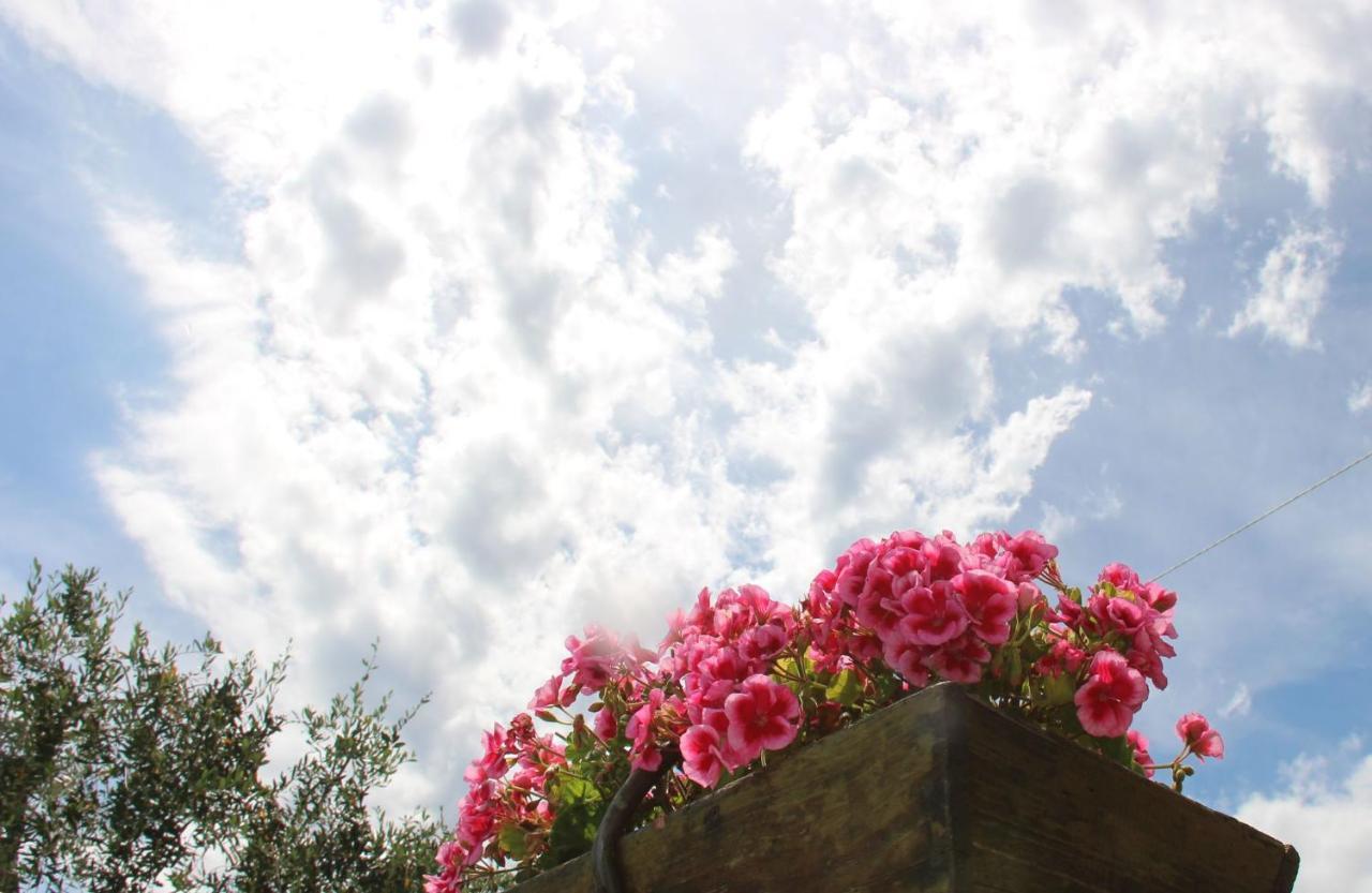 Il Sole Di Poggi Bed & Breakfast Imperia Exterior photo